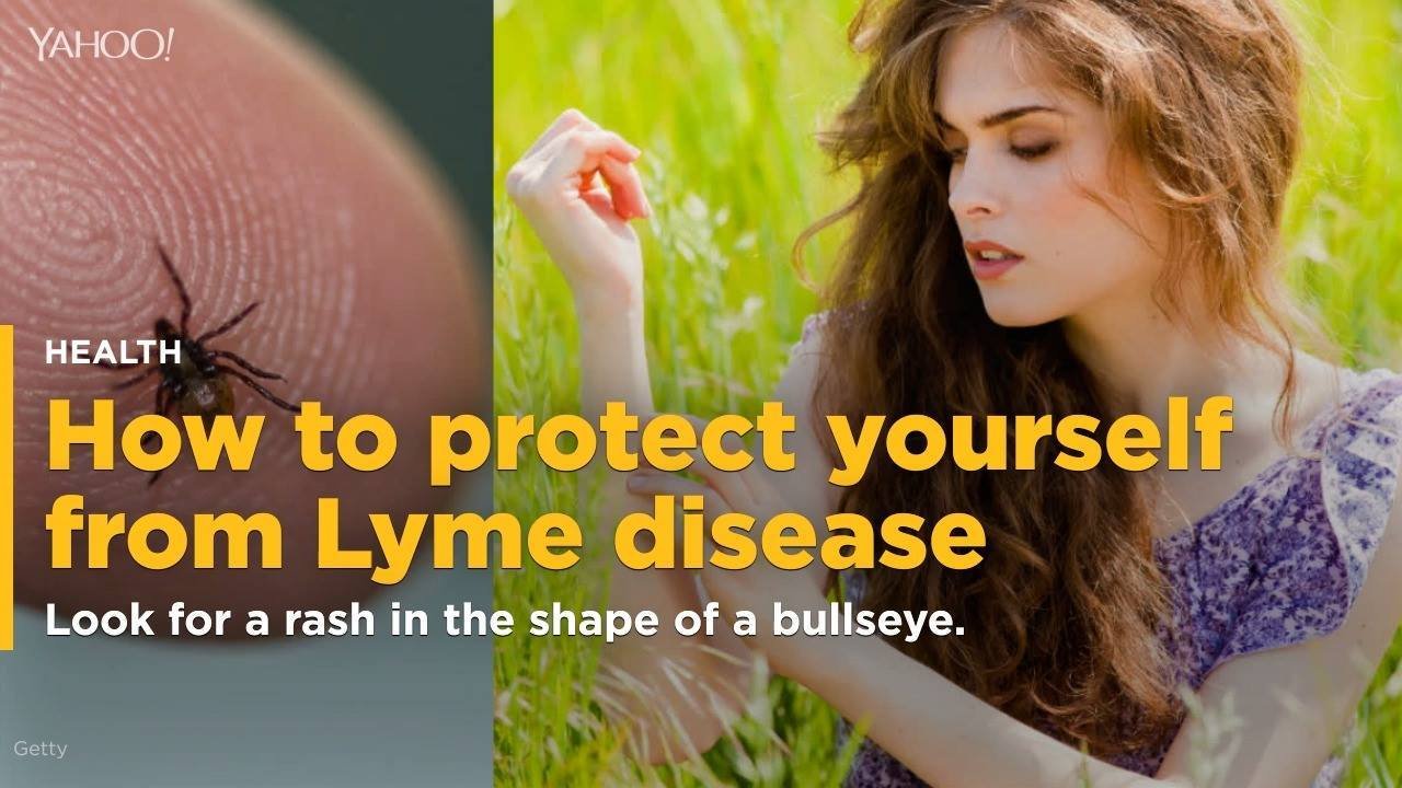 14K views · 15 shares | Here's how to identify and protect yourself against Lyme disease. (via Yahoo Canada) | Yahoo UK